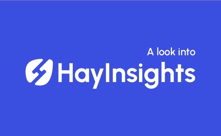 HayInsights: The Ultimate Financial Data Hub for the Japanese Market