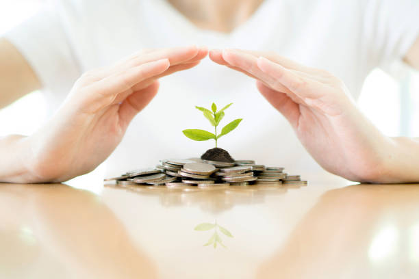 low risk investment in Japan